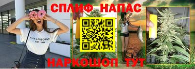 крисы Ипатово