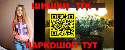 индика Изобильный