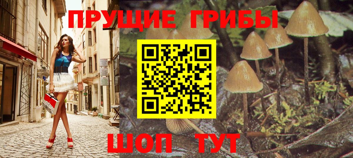 Псилоцибиновые грибы Psilocybine cubensis Кинешма